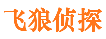 武功外遇调查取证